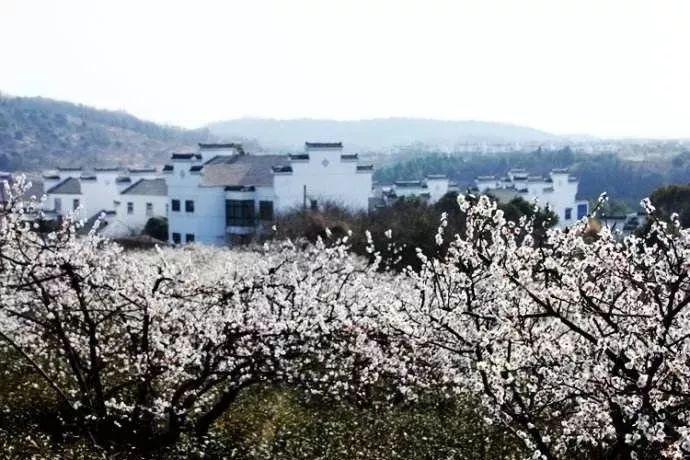 军队文职遭遇“滑铁卢”,待遇诱人还招不满,原因是什么呢?-分享思想、交流见解的红迪网平台